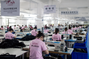 Seamless push up bra manufacturer producing OEM and private label bras