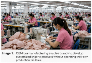 Professional OEM bra manufacturer producing custom lingerie for international brands.
